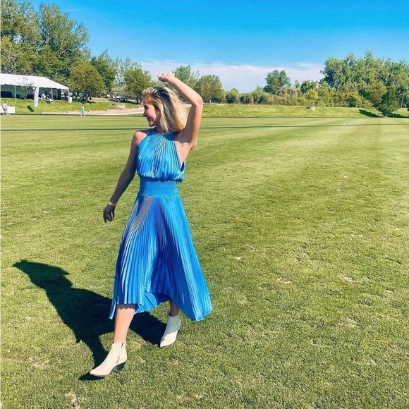 A.L.C. Dresses & Skirts - A.L.C. Renzo Blue Pleated Dress